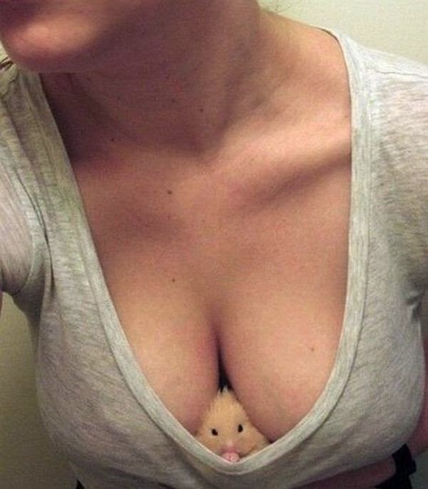 Imagenes graciosas gifs y mujeres hermosas tachido.mx lawaloca