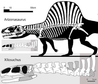 Arizonasaurus