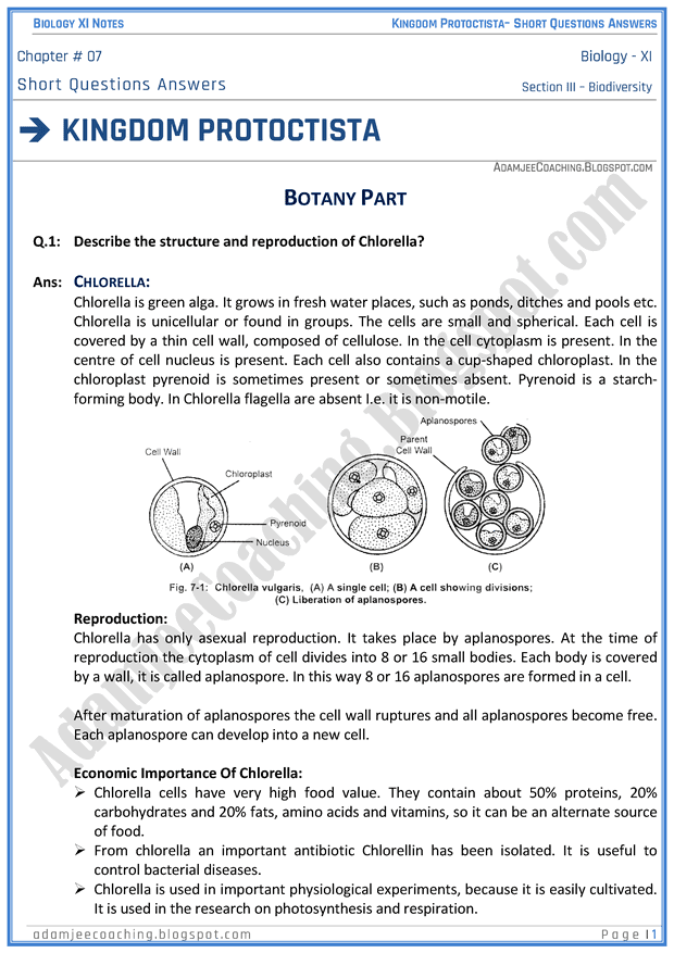 kingdom-protista-protoctista-short-question-answers-biology-11th