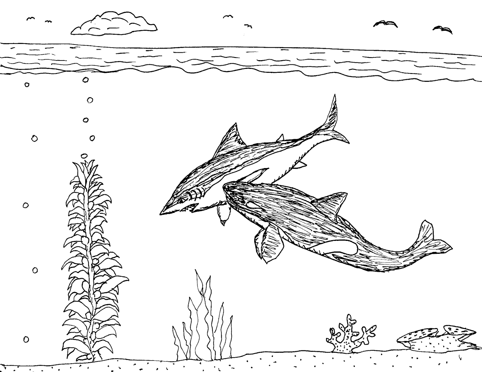 Robin's Great Coloring Pages