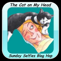 http://thecatonmyhead.com/ginger-tabby/