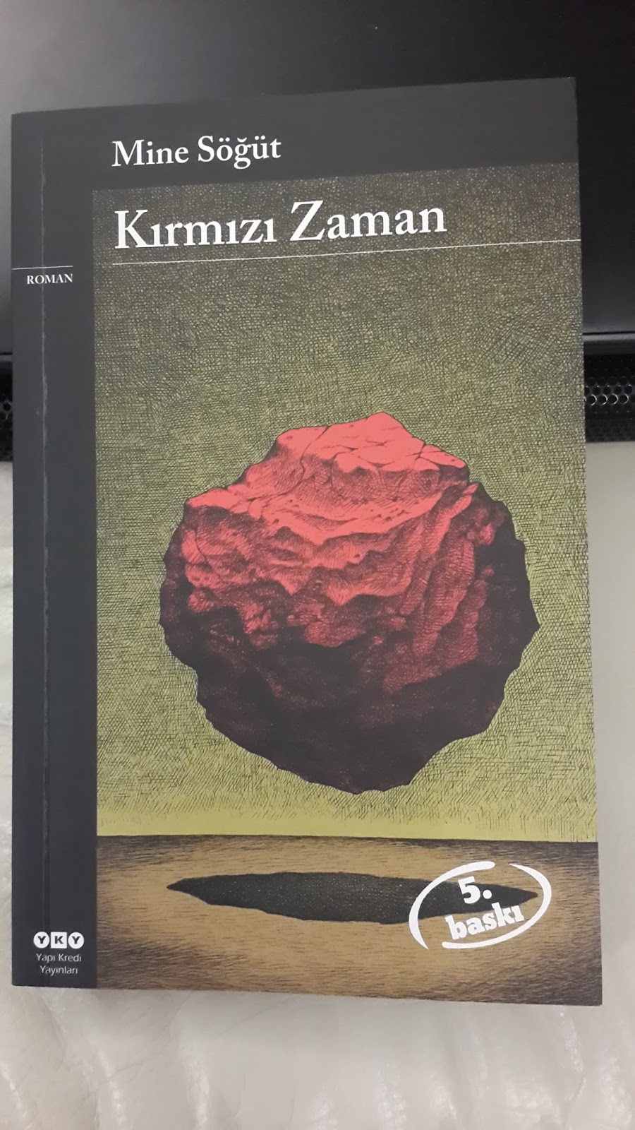 Bes Sevim Apartmani Mine Sogut Nadir Kitap