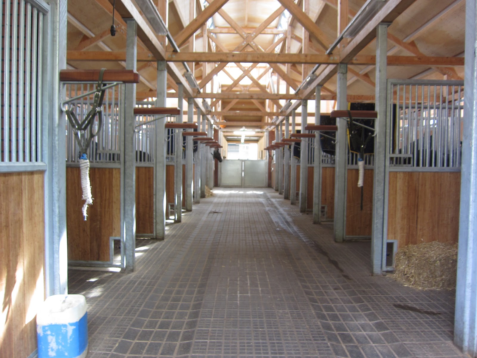 AFA Cultural Exchange Trip 2012 The Household Cavalry and the King's Troop