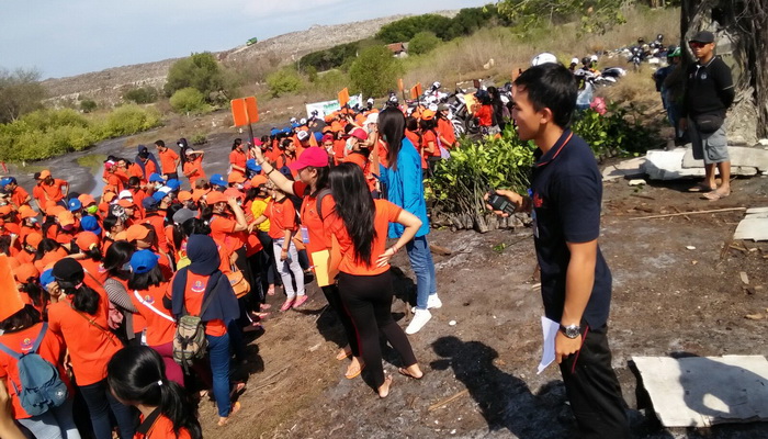 Ribuan Mahasiswa Warmadewa Hijaukan Teluk Benoa dengan Mangrove