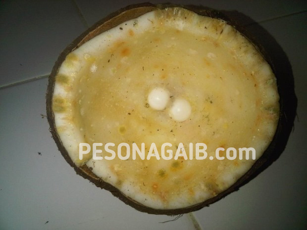Foto Batu Mustika Kelapa Sepasang yang menempel dalam buah kelapa Mustika Kelapa Asli Pesona Gaib