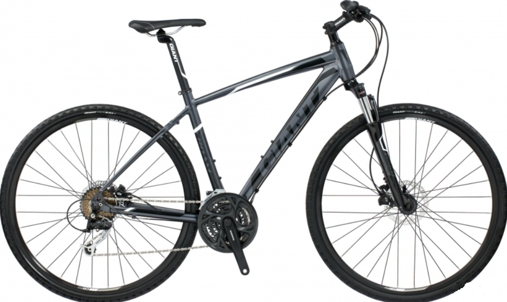 giant roam 2 disc 2018