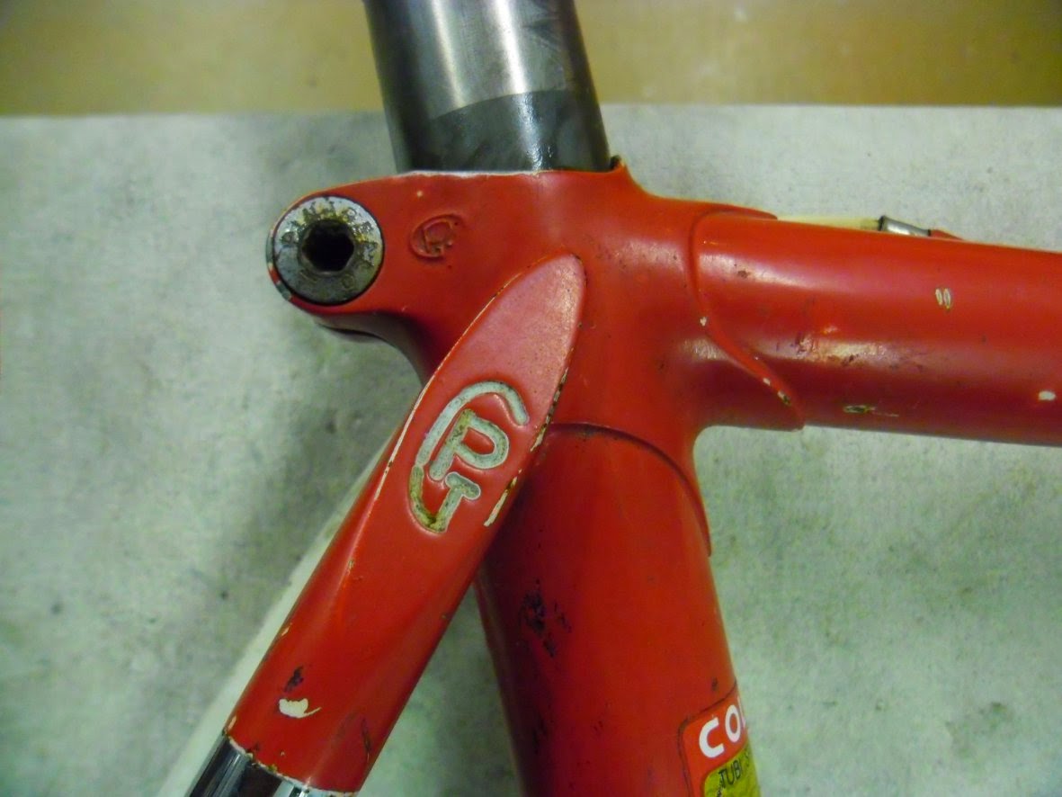 giovanni nani pinarello