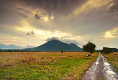 Taman Nasional Baluran Dengan Pemandangan Eksotis Ala Afrika Taman Nasional Baluran Dengan Pemandangan Eksotis Ala Afrika