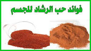 فوائد حب الرشاد للجسم فوائد حب الرشاد للجسم