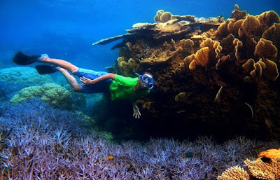 SEKILAS TENTANG PULAU TERCINTAKU BAWEAN Surganya Jawa Timur