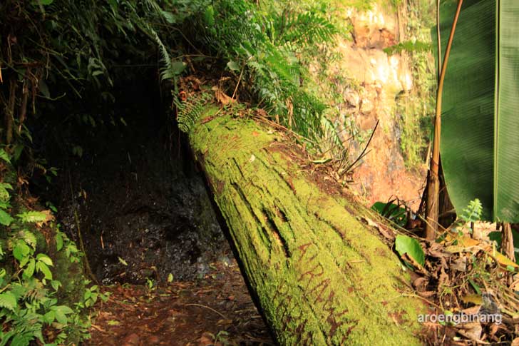 curug seribu bogor