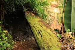 curug seribu bogor
