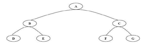 Tree pada C++ (Tree Awal) - nblognlife