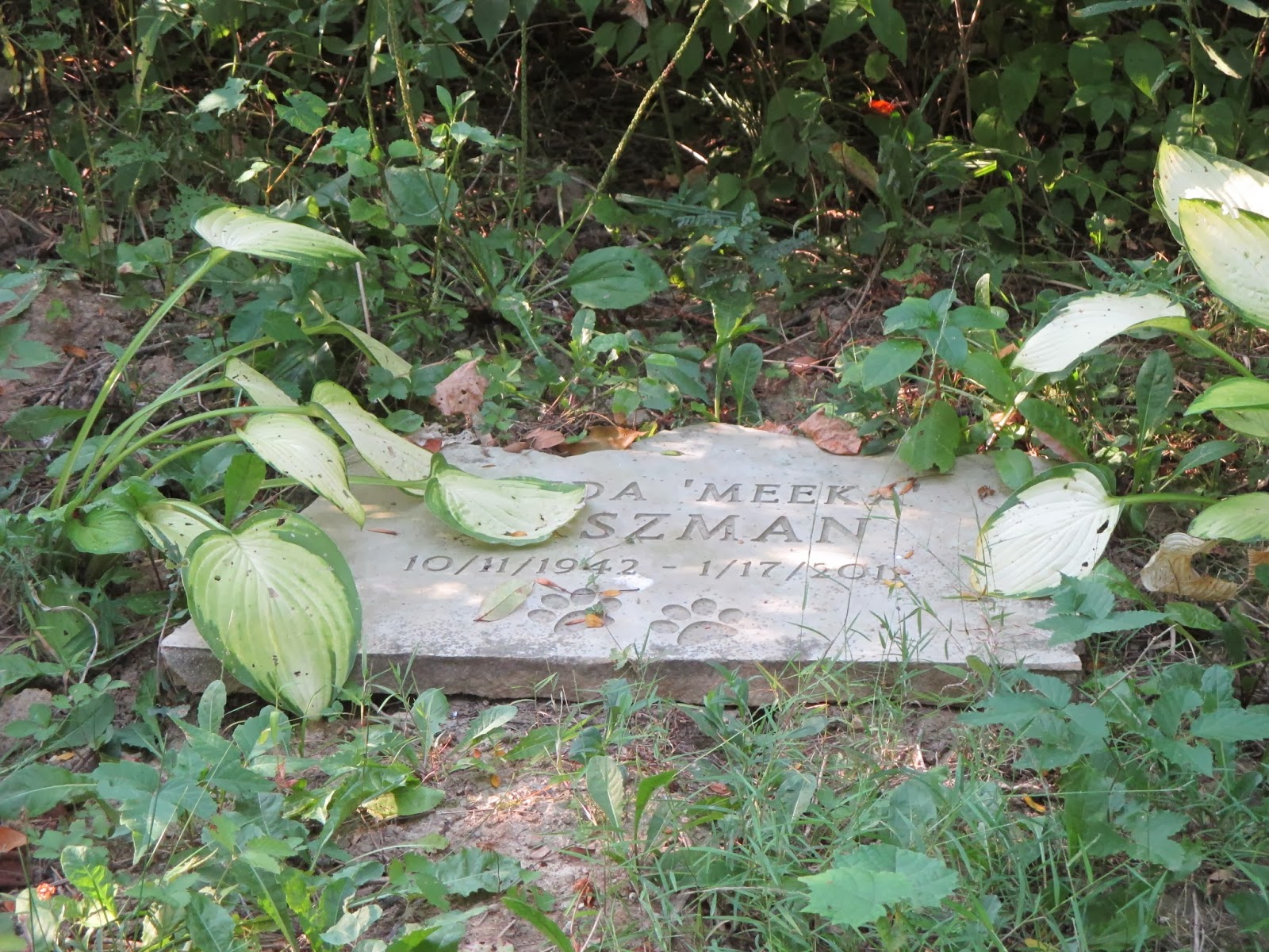 FINISHING TOUCHES NATURAL BURIAL HYBRID CEMETERY