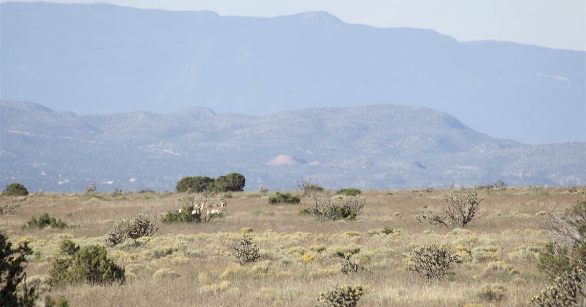 noise & silence New Year's Eve 2017 Eldorado, New Mexico