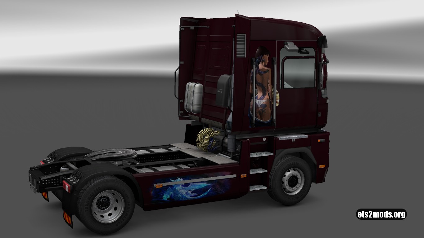 Dragon Skin for Renault Premium & Magnum Dragon Skin for Renault Premium & Magnum
