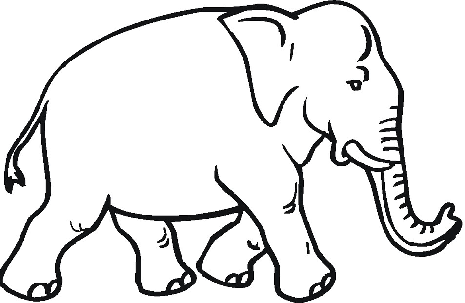 Kumpulan Gambar Gajah Kartun Lucu Terbaru | gambarcoloring