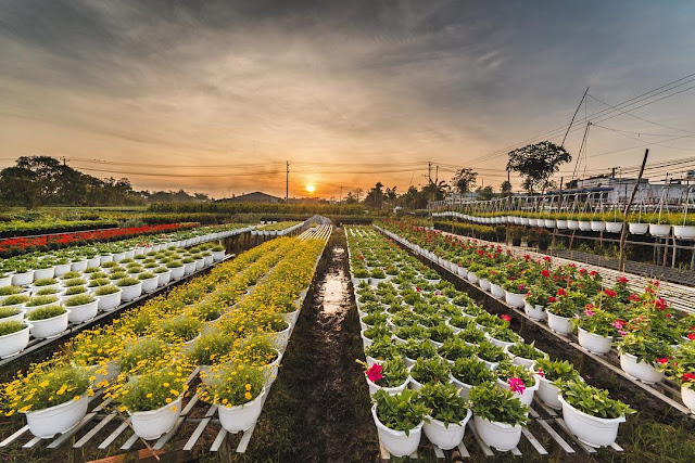 Bạn Có Hẹn Với Thiên Đường Mùa Thu Trong Nước ? - 5