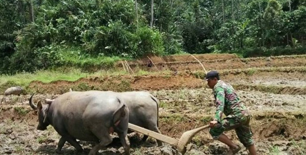 Faktor Eksternal Perubahan Sosial Pigura