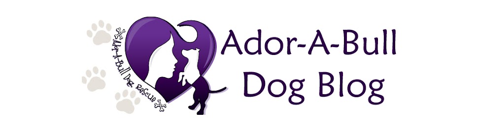 Ador-A-Bull Dog - Blog