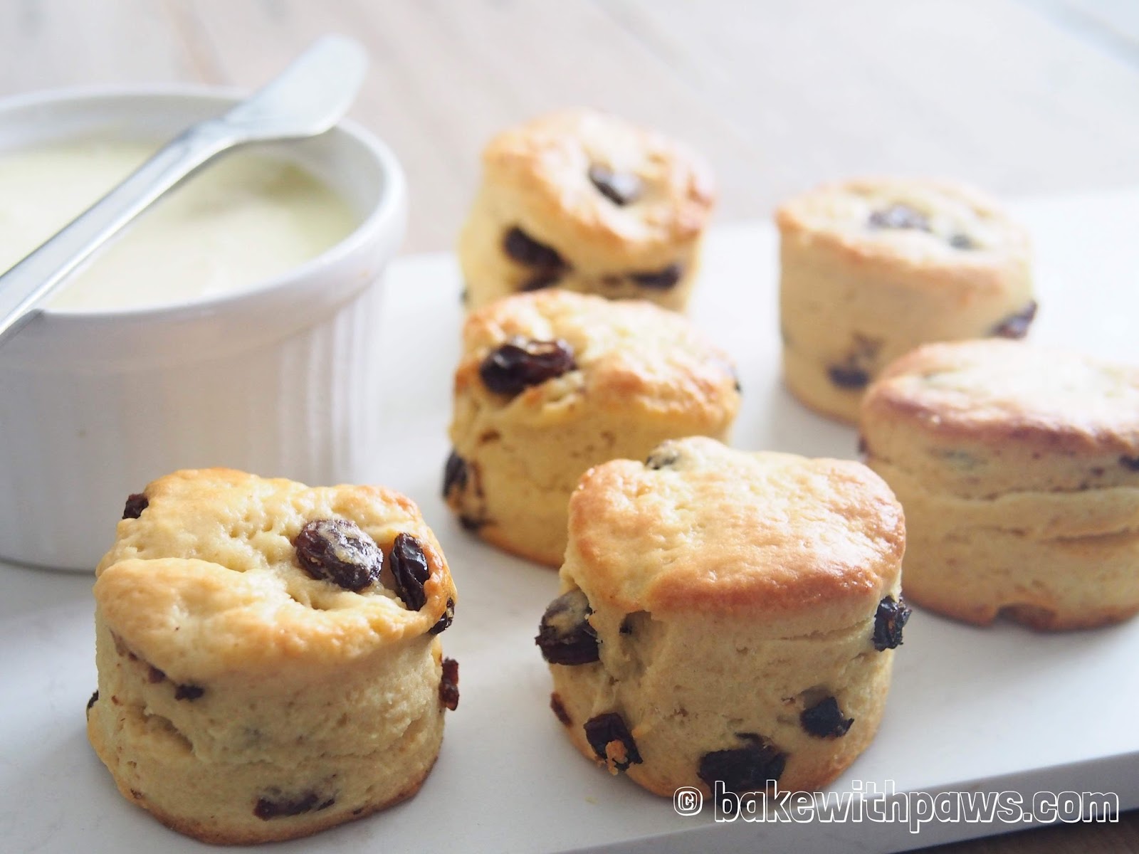 BUTTERMILK SCONES BAKE WITH PAWS