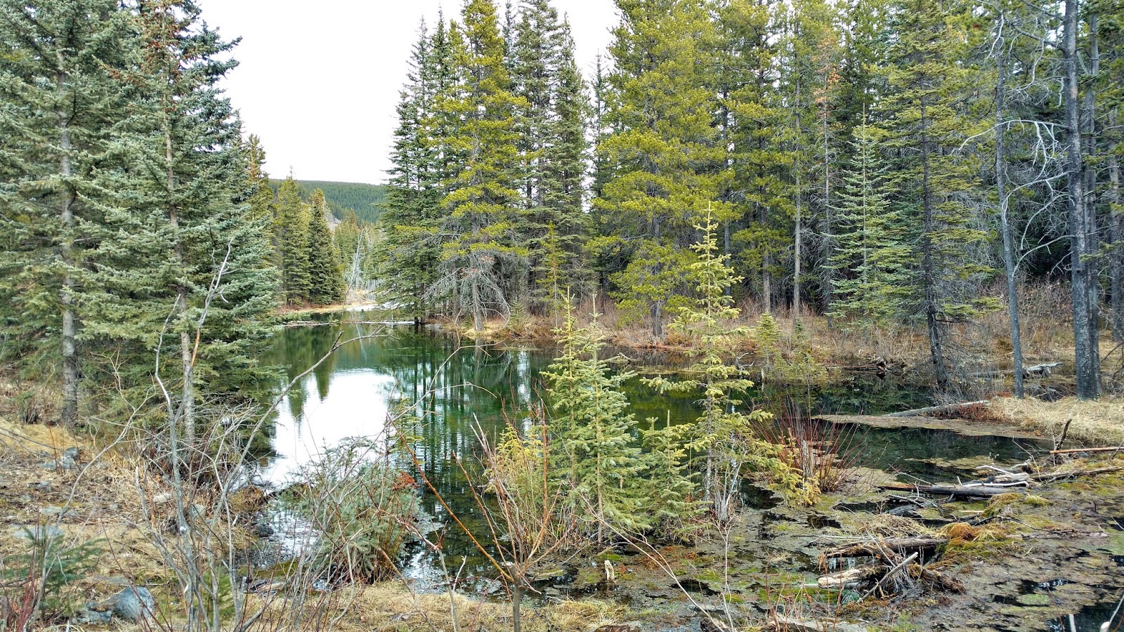Biking Highway 66 from Elbow Falls to Pond Play Outside