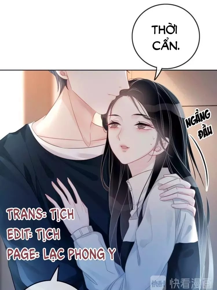 Ám Hắc Hệ Noãn Hôn Chapter 7 - Trang 8