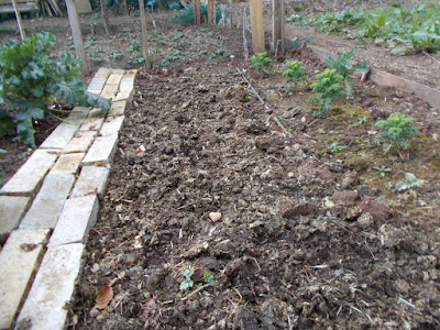 Vegetable bed before raking Sowing seeds outdoors 80 Minute Allotment Green Fingered Blog