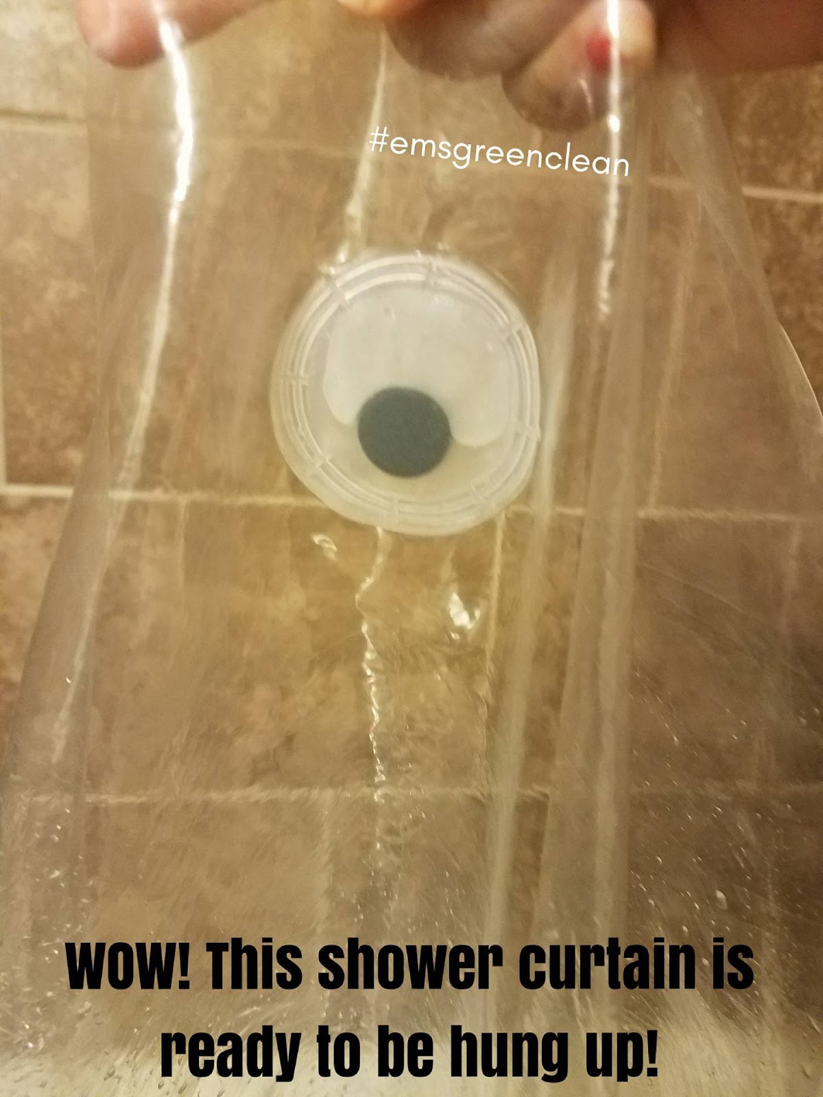 Clean Simply Clean Spring Cleaning Shower Curtain Edition