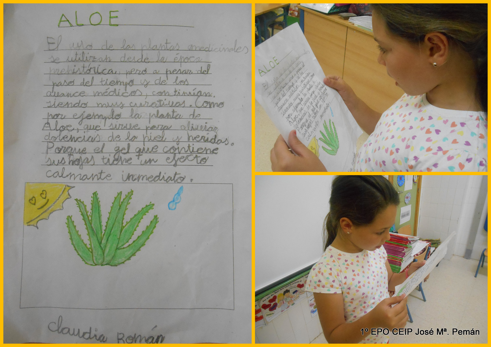 Proyecto De Plantas Medicinales Para Secundaria Pdf