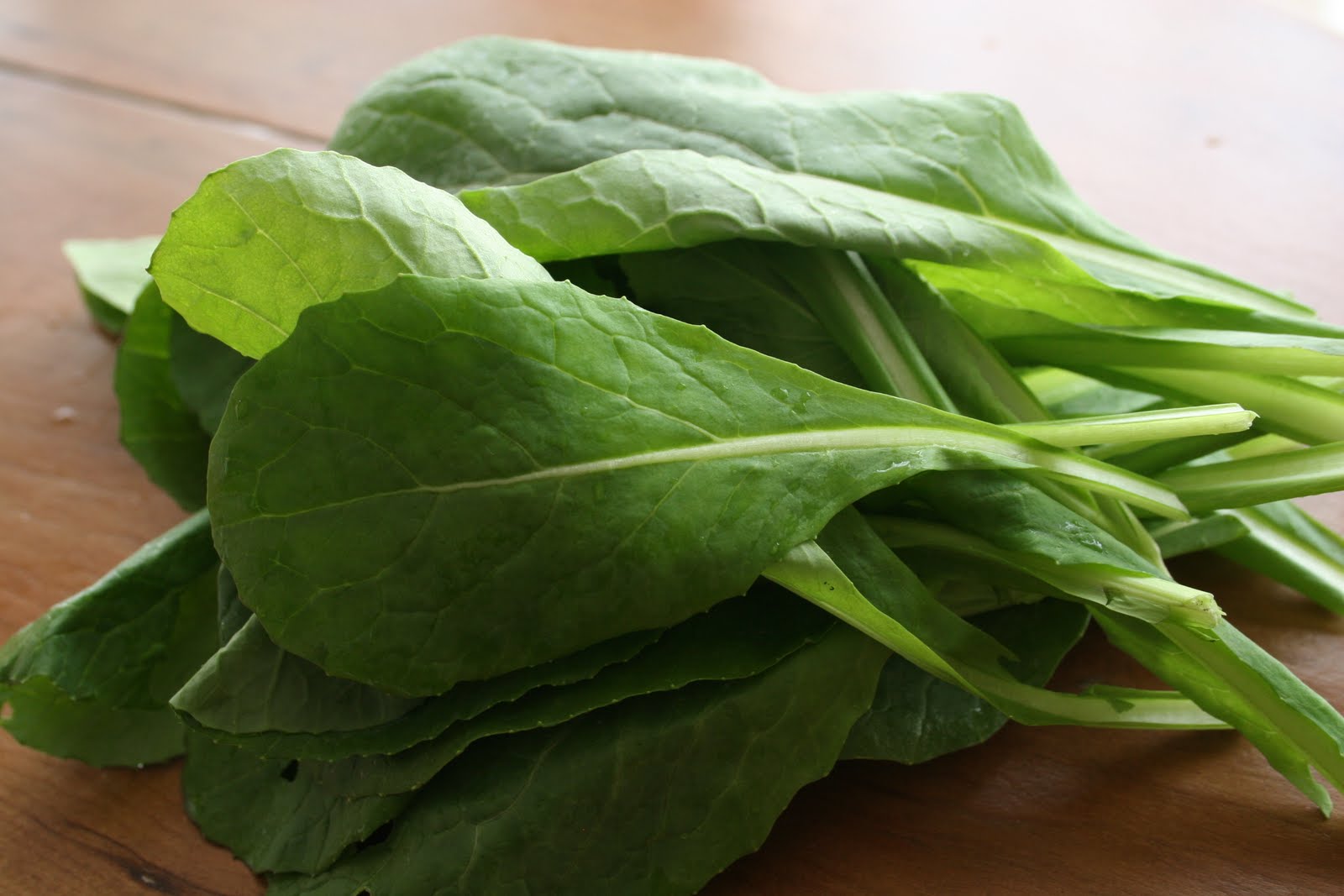 urban food producer Komatsuna a discovery worth sharing