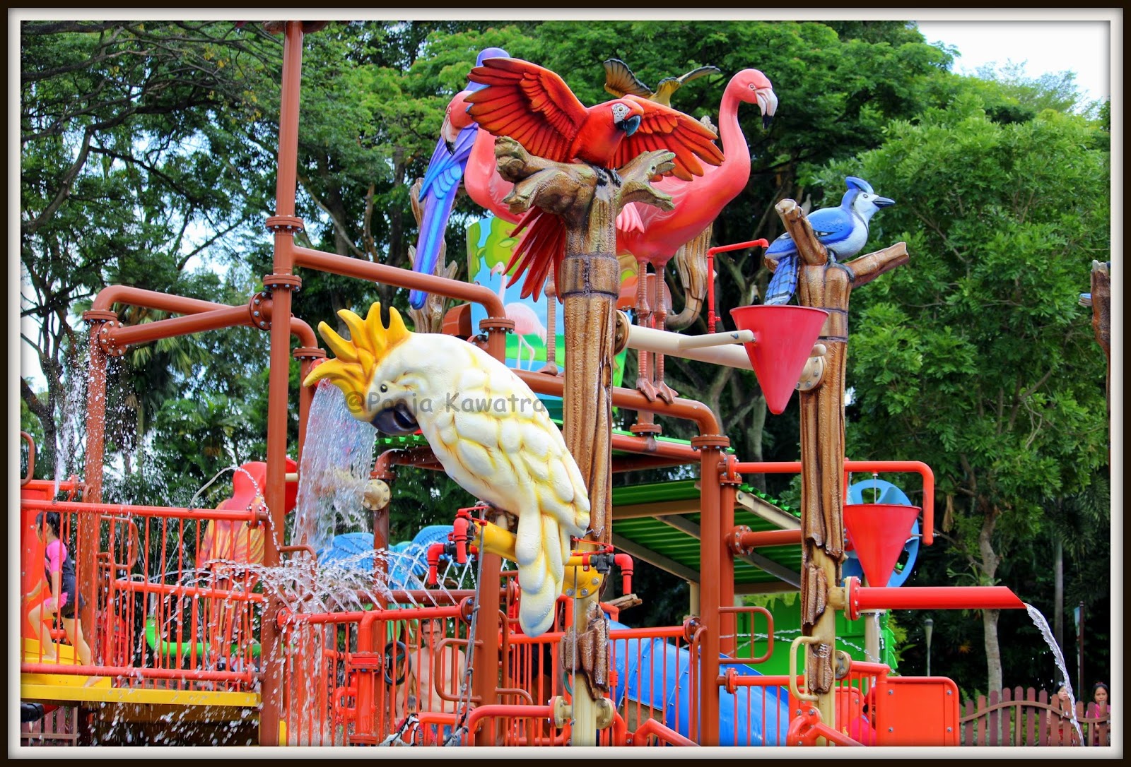 Birdz of Play Jurong bird park Mums And Babies 