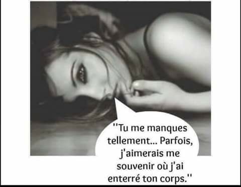 Dissertation sur la posie lyrique