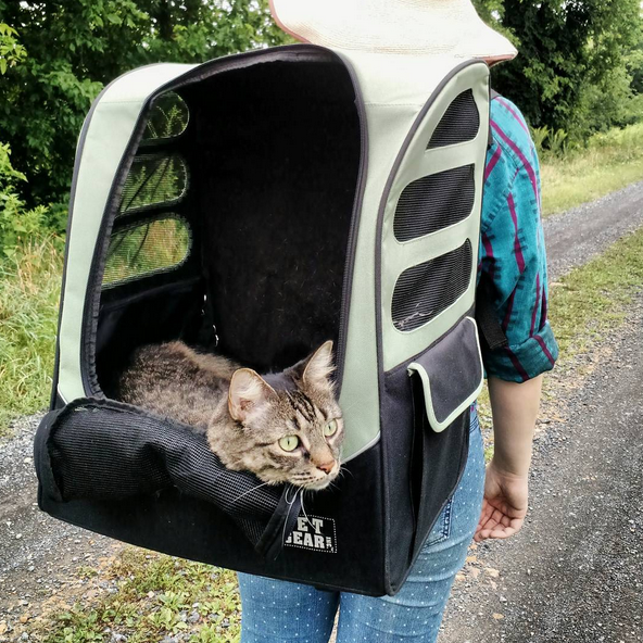 Walking the Cats - Rachael Ray Nutrish: Fur Real Moments - littleladylittlecity.com Walking the Cats - Rachael Ray Nutrish: Fur Real Moments - littleladylittlecity.com