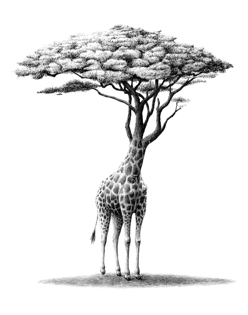 06-Giraffe-Tree-Redmer-Hoekstra-Surreal-Animal-Drawings-Pen-on-Paper-www-designstack-co