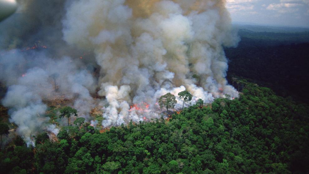 Incendio en Amazona
