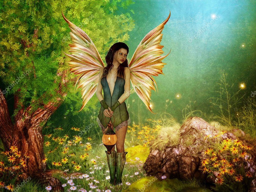 Descubriendo el Mundo HADAS