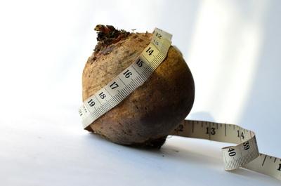 buah bit untuk diet