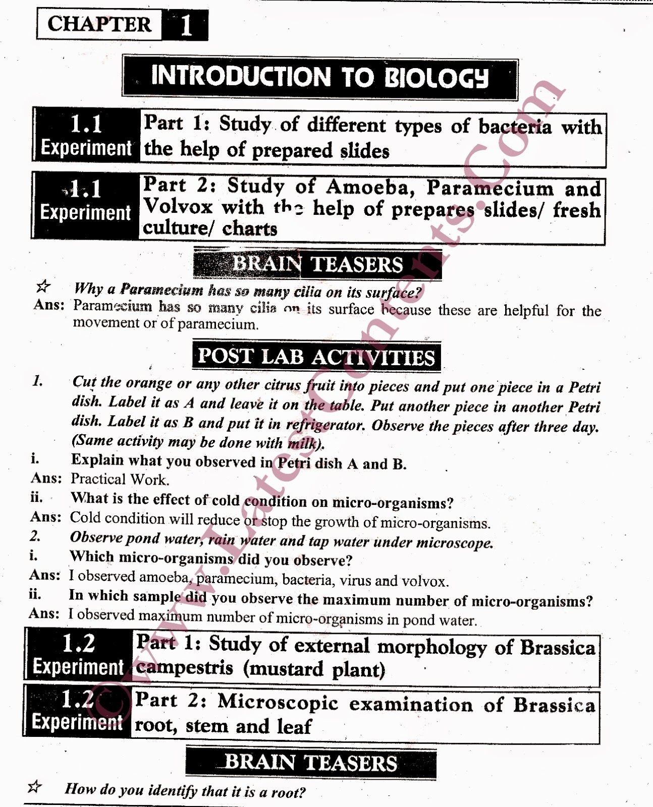 ISLAMIC ACADMEY islamic-acadmey