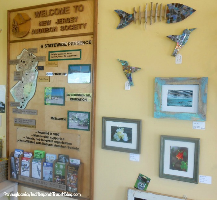 Pennsylvania & Beyond Travel Blog NJ Audubon's Nature Center of Cape May