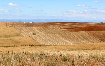 Barrancas de Burujón (Toledo) Campos de cultivo en Barrancas de Burujón