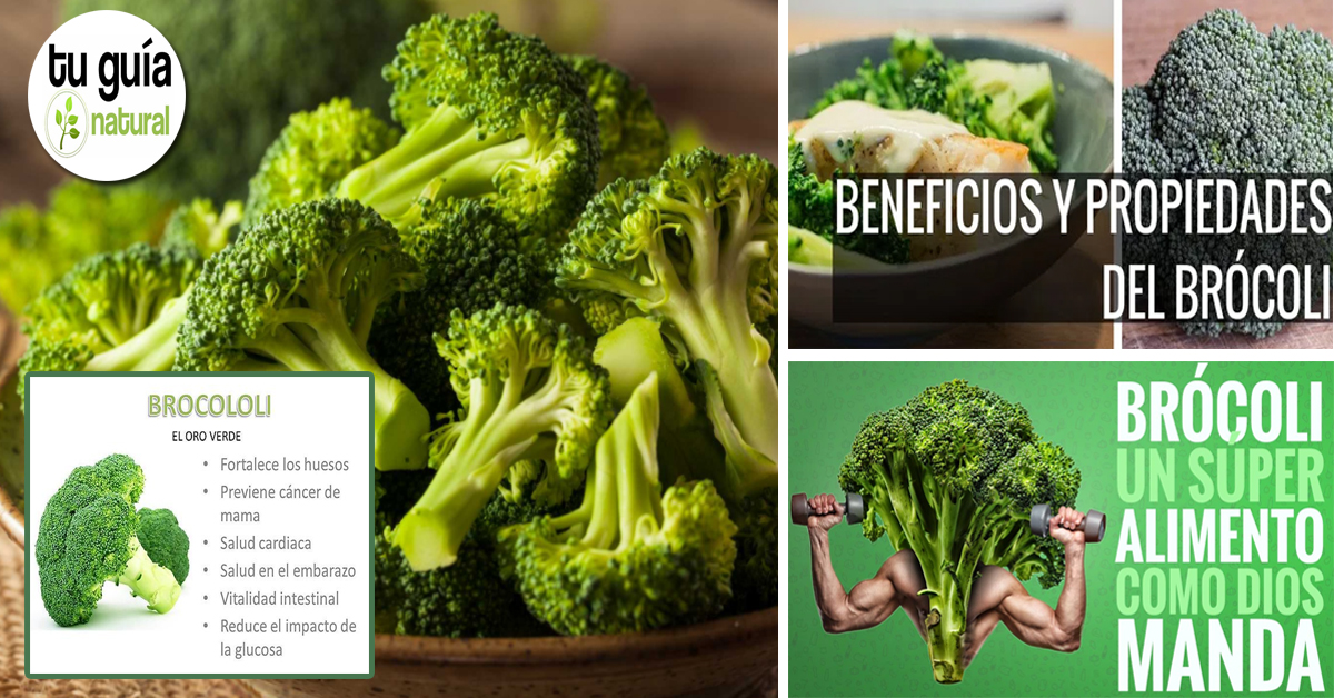 Conozca los Increíbles beneficios del brócoli