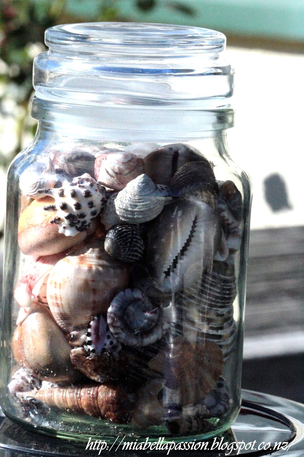 Mia Bella Passions Easy 'Beach' Decor DIY a Shell Jar...