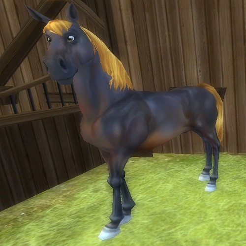 Star Stable Daily Horse Breeds