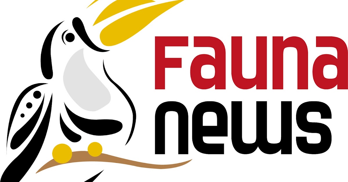 Fauna News e Instituto Aprenda.bio: curso sobre tráfico de animais em São Paulo