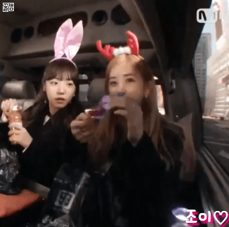 청문회로 지친눈 양남자쇼 에핑 초롱이랑 우주소녀 성소로 정화.gif | 인스티즈