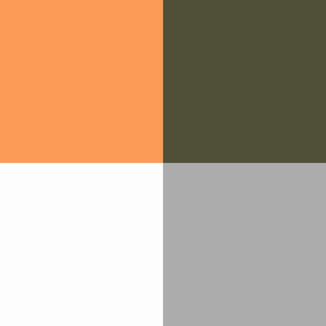 Gafunkyfarmhouse Weekend Wardrobe Citrus Orange And Olive Green Color Combinations So For This Week S Style Board I Decided To Pair A Light Citrusy Orange With Shade Of Olive Often Called Military Green
