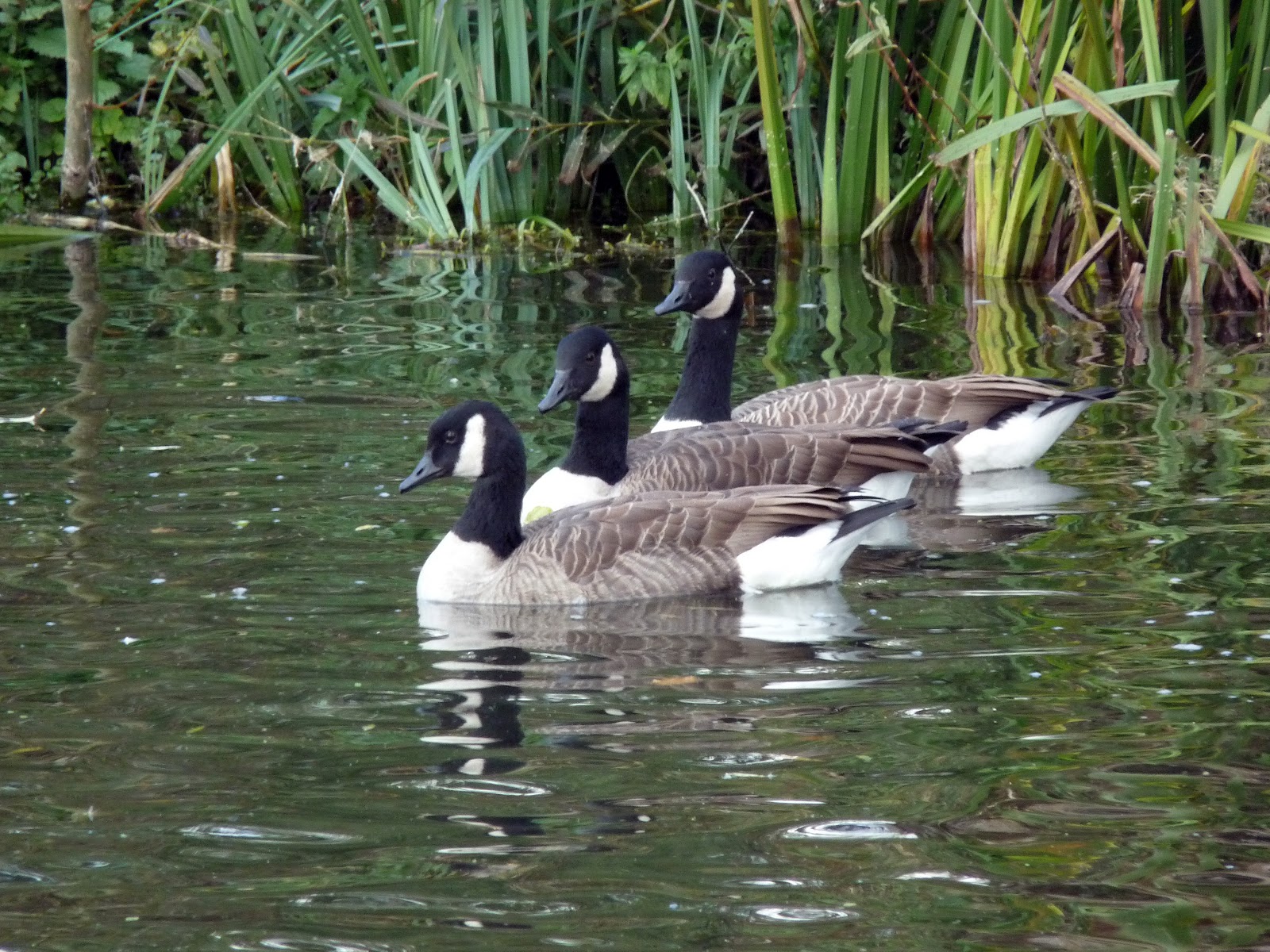 wild-and-wonderful-october-2012