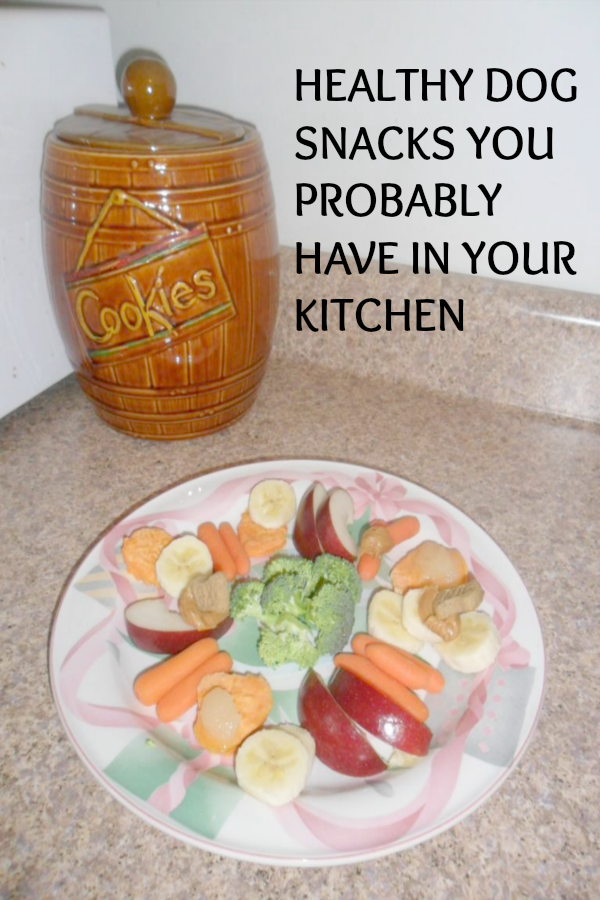 Dogs Luv Us and We Luv Them HEALTHY DOG TREATS YOU ALREADY HAVE IN