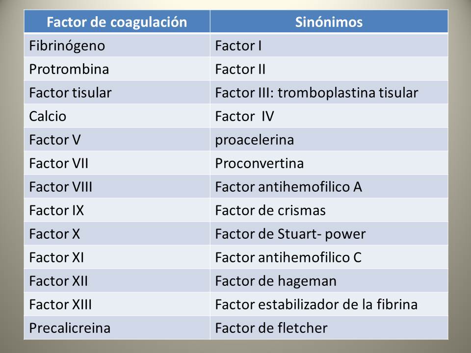 PASOS FIRMES: Vías de la coagulación sanguínea